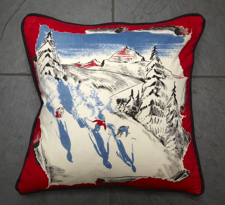 Ski Cushion